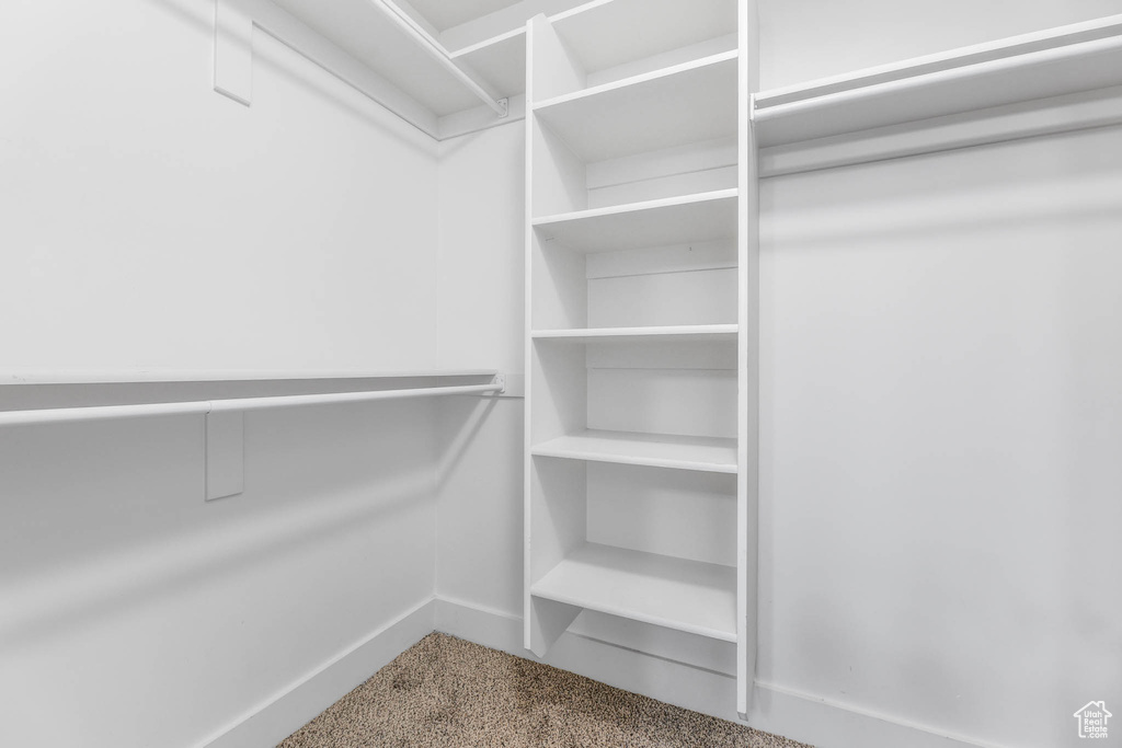 Spacious closet with carpet