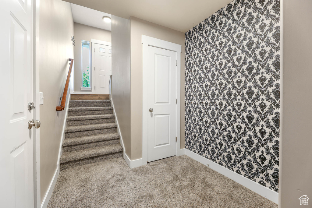 Stairway featuring carpet floors and wallpapered walls
