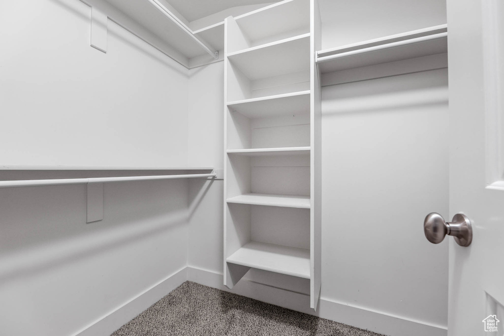 Spacious closet featuring carpet flooring