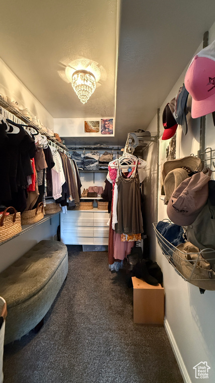 Walk in closet with dark carpet