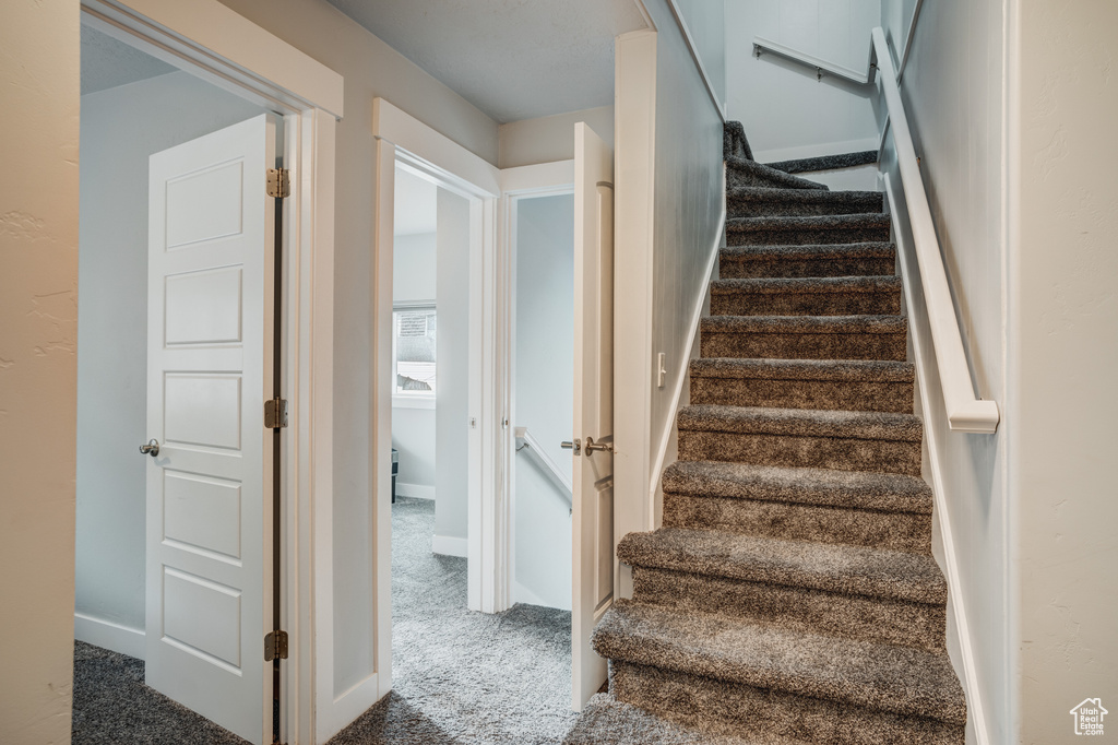 Stairway featuring carpet and baseboards