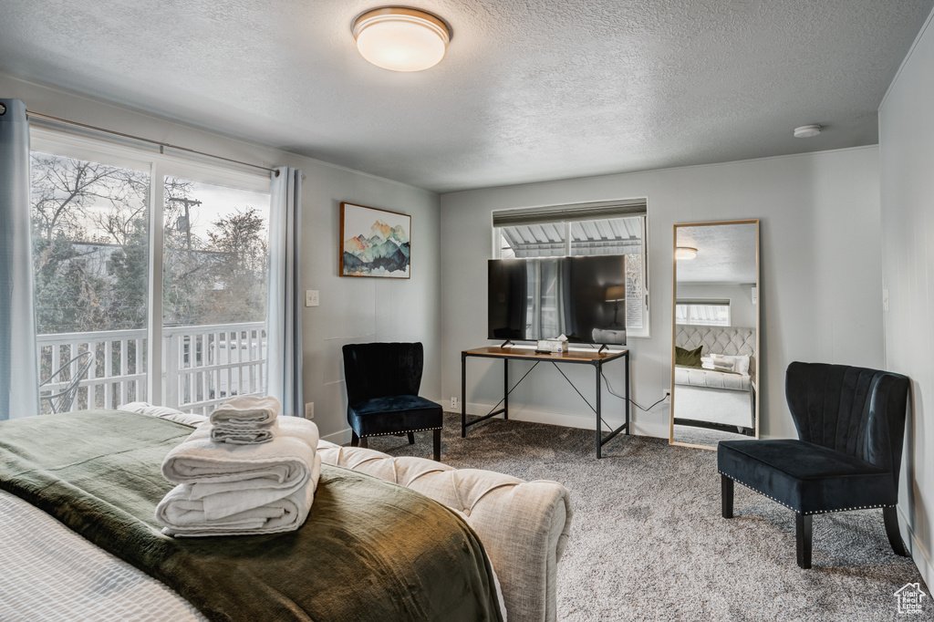 Carpeted bedroom featuring a textured ceiling and access to outside