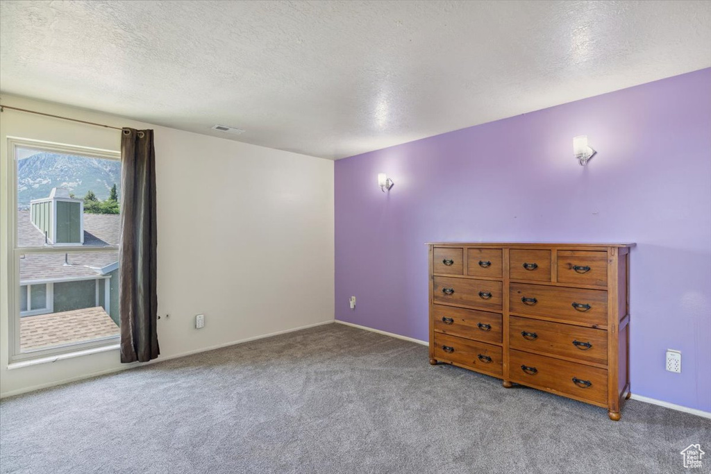 Carpeted empty room with a textured ceiling