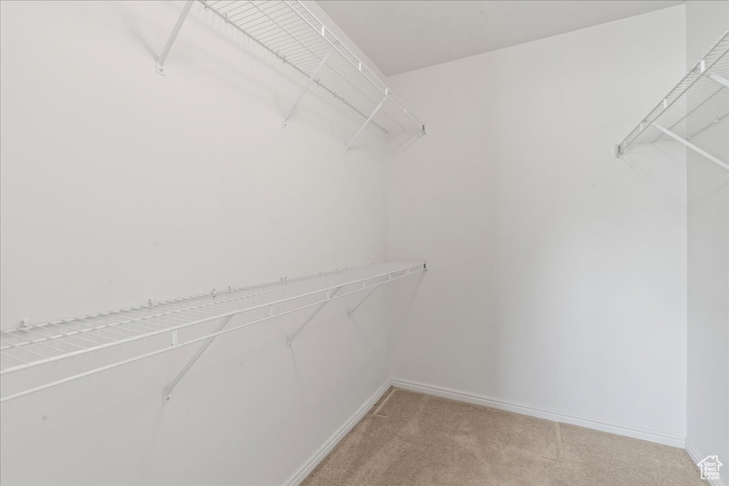 Spacious closet featuring light colored carpet