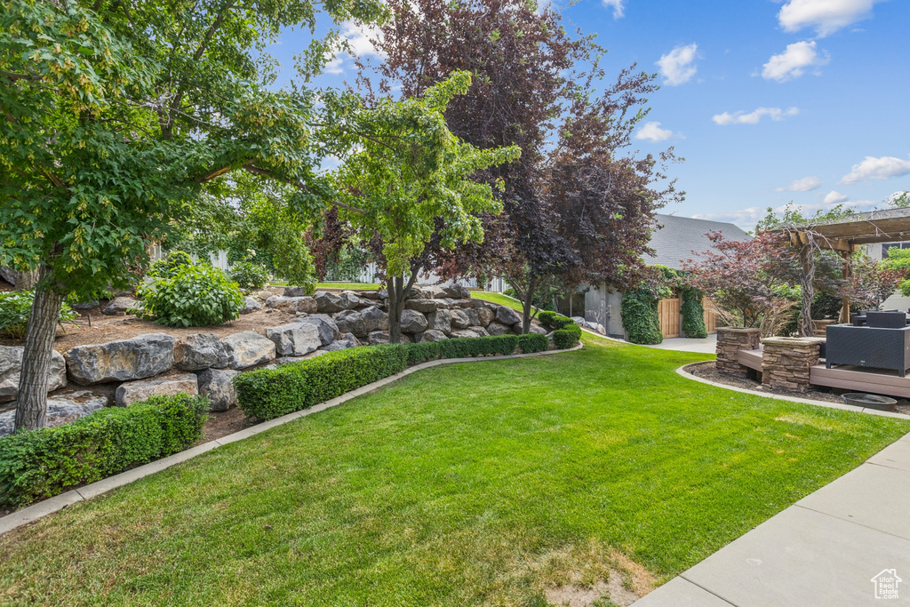 View of grassy yard