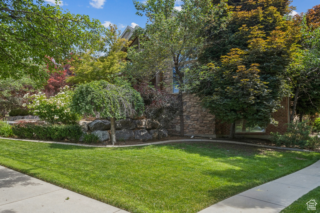 Surrounding community with a yard