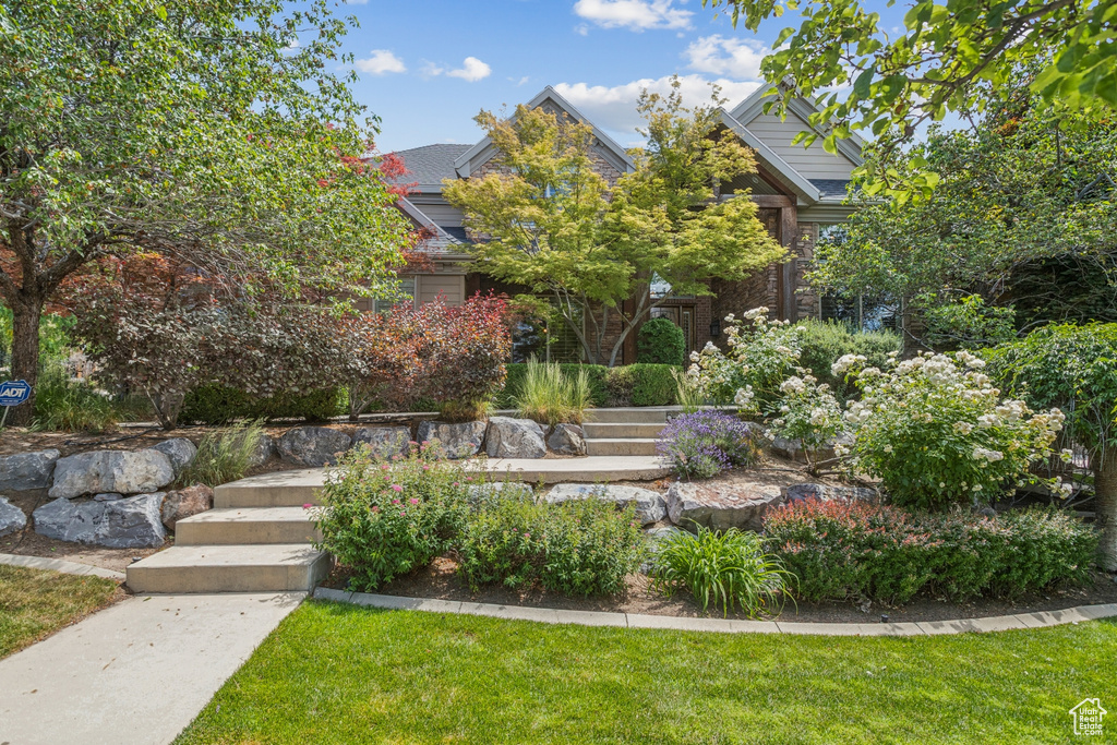 Obstructed view of property with a front lawn