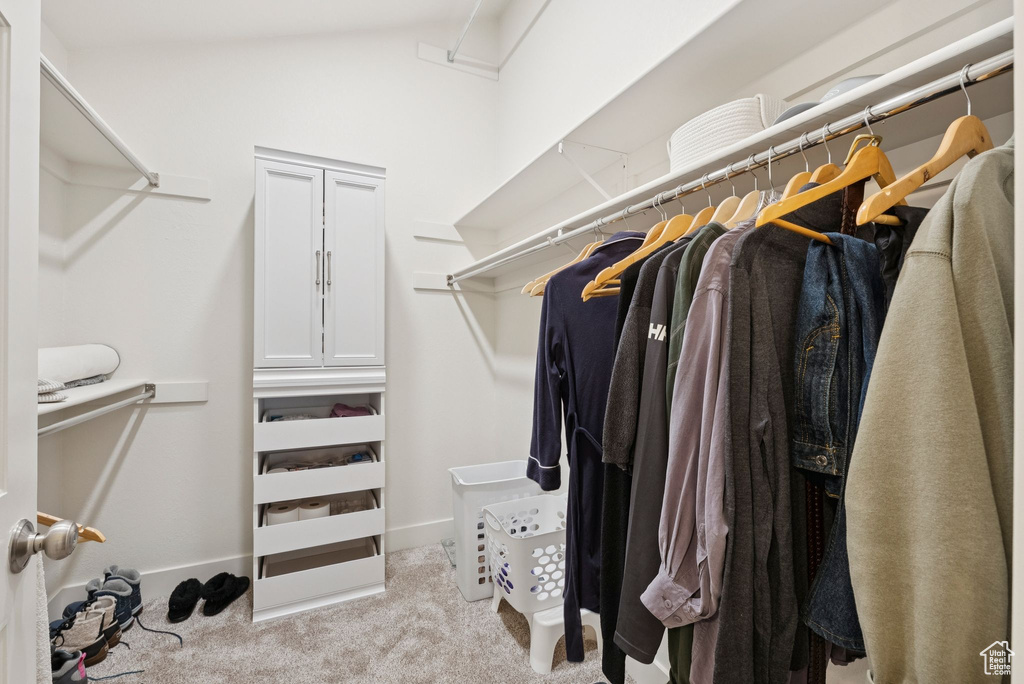 Spacious closet featuring carpet flooring