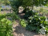 View of yard featuring a vegetable garden