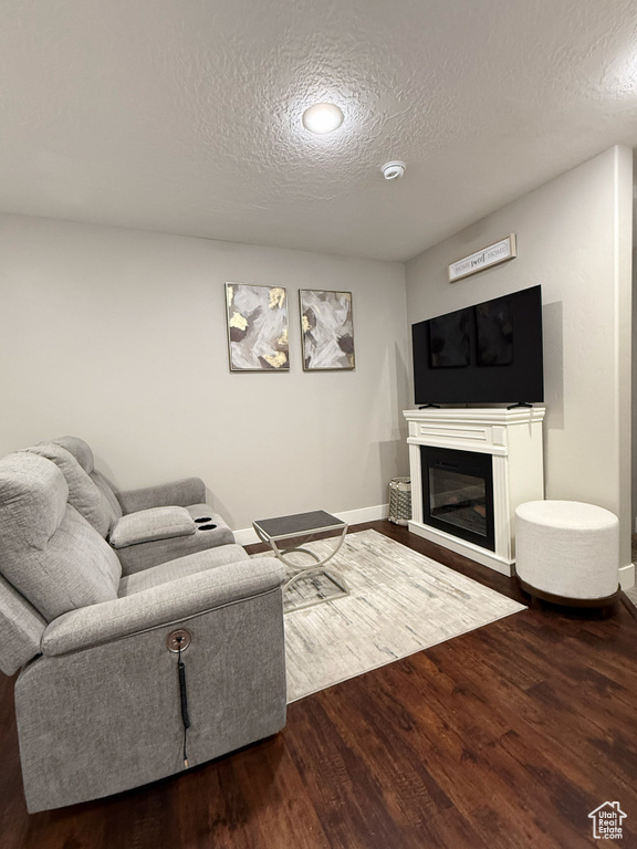 Living room with a textured ceiling, wood finished floors, and a glass covered fireplace