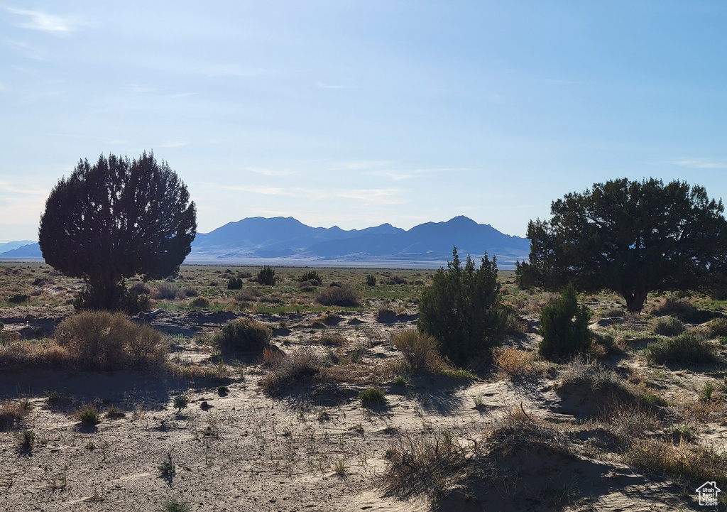Mountain view