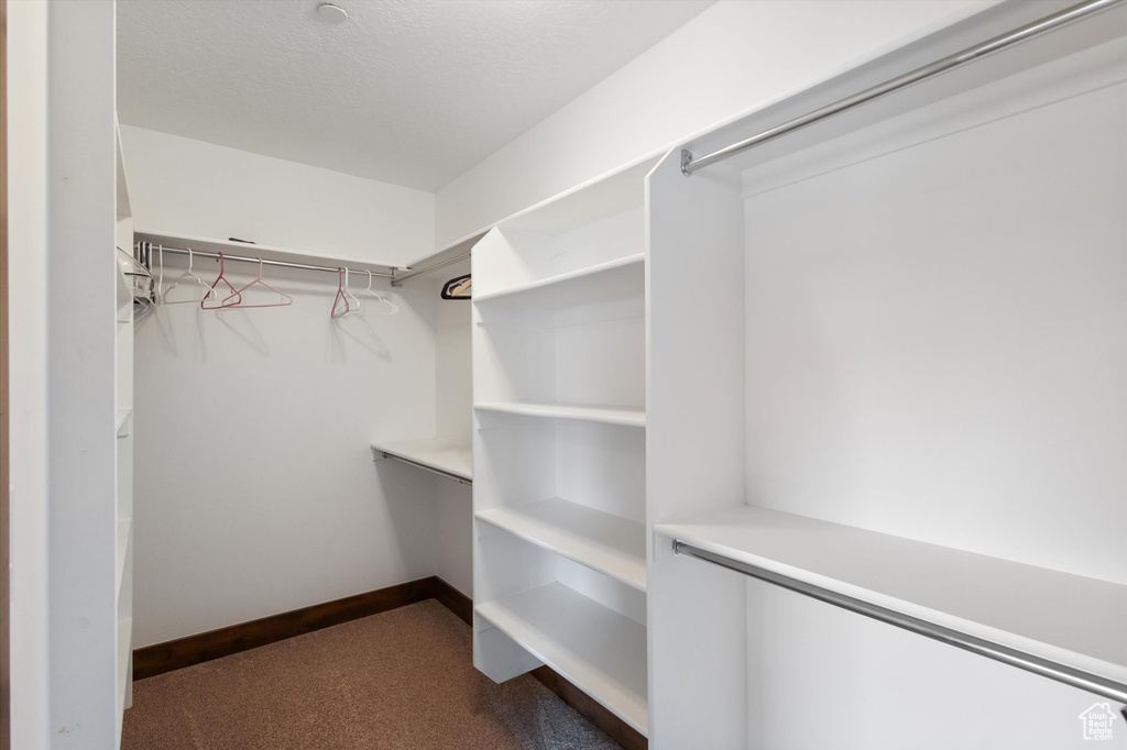 Spacious closet featuring dark carpet