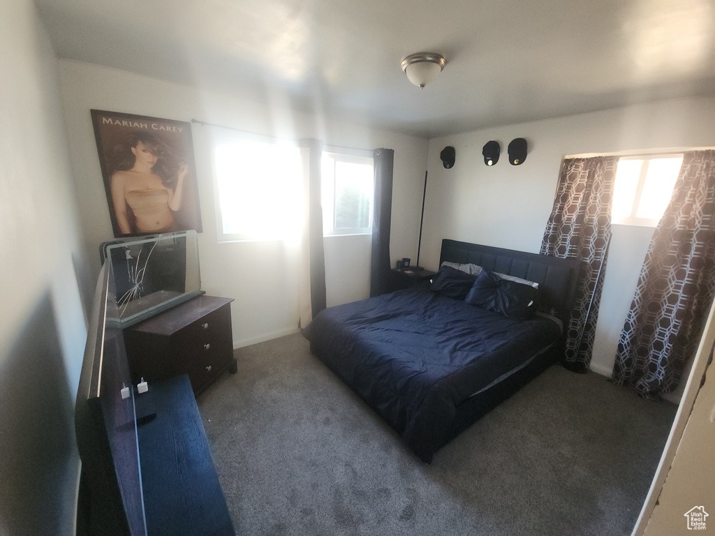 Bedroom with multiple windows and carpet