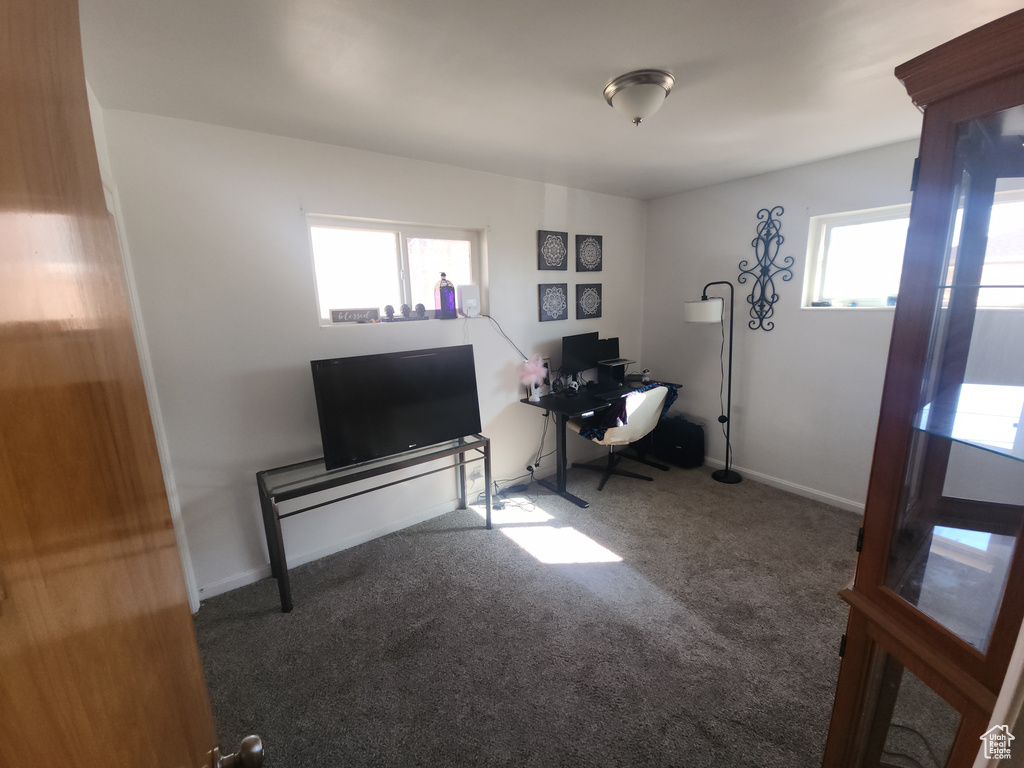 Office area with carpet floors