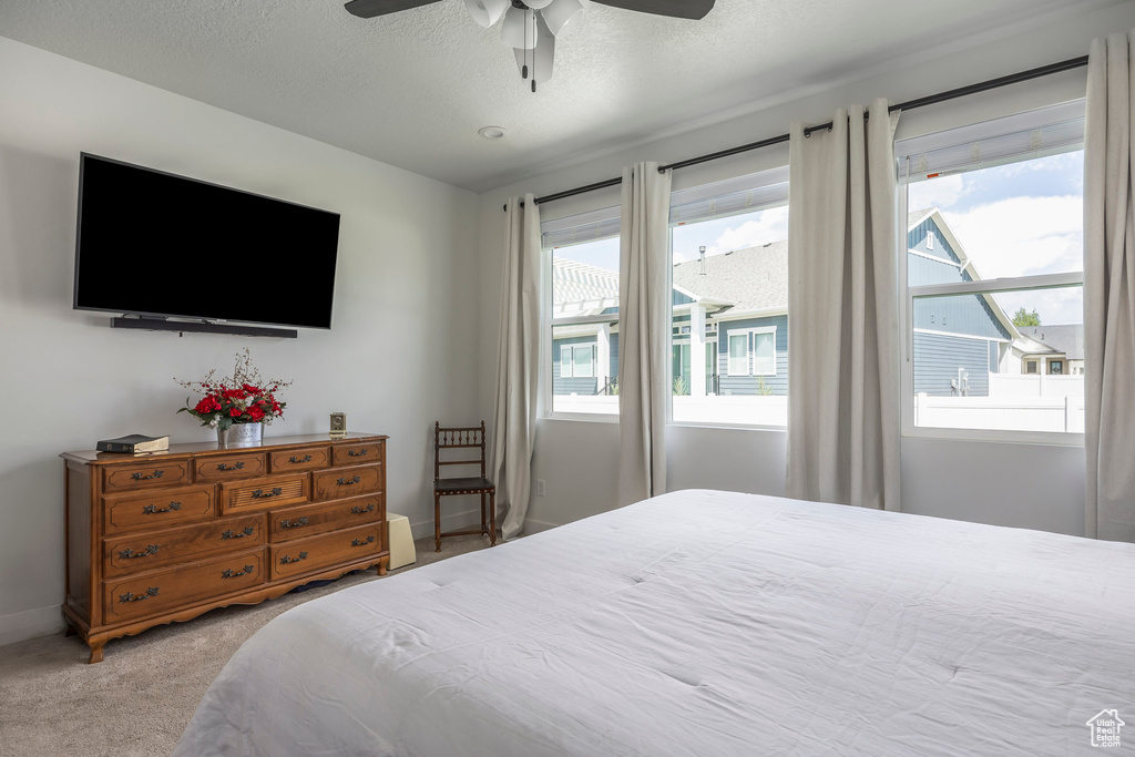 Carpeted bedroom with multiple windows, a ceiling fan, and a textured ceiling