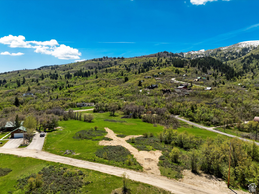 Aerial view of a mountainous background and a heavily wooded area