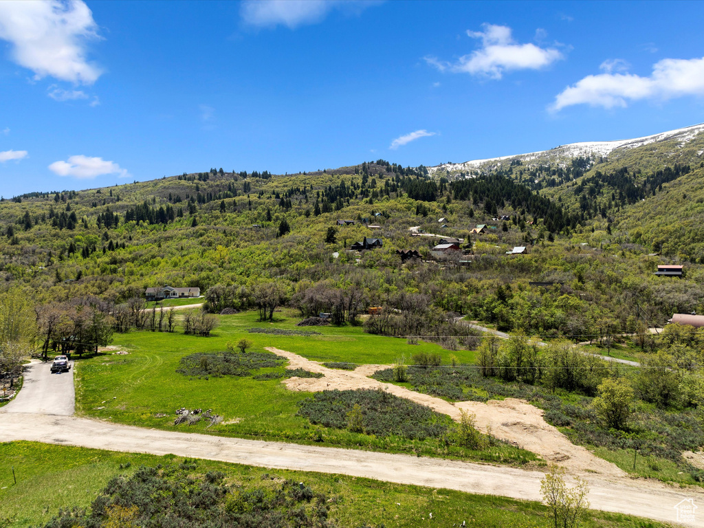 Aerial view of a mountainous background and a heavily wooded area