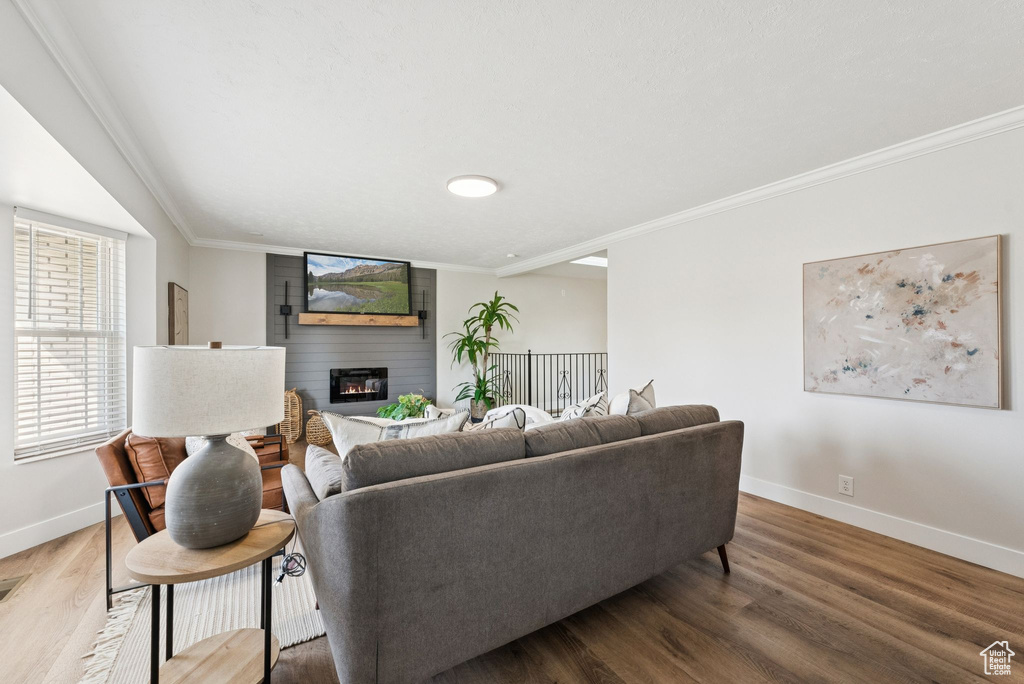 Living room with ornamental molding, wood finished floors, and a large fireplace