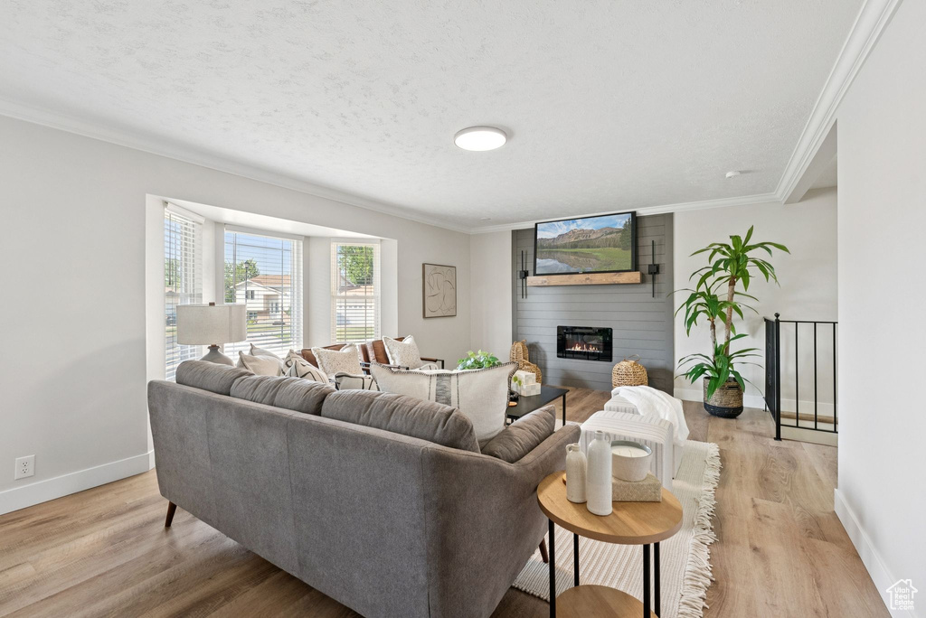 Living room featuring crown molding, a fireplace, and light wood-style floors
