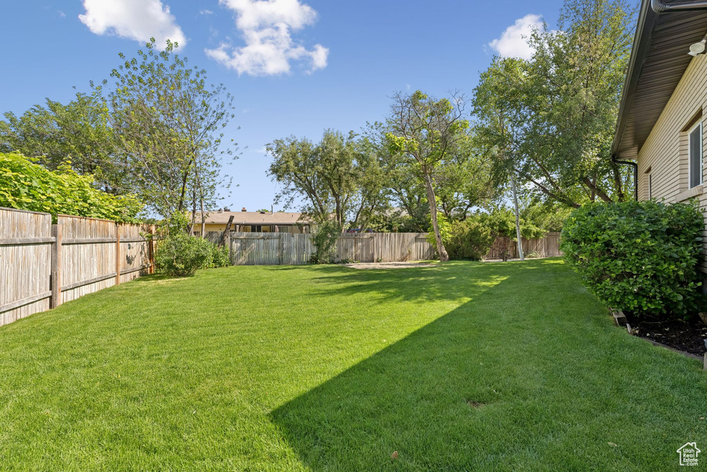 View of fenced backyard