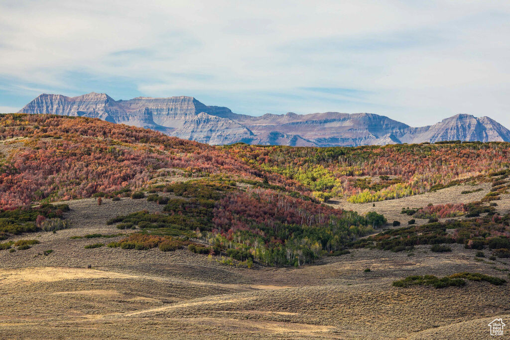 View of mountain background