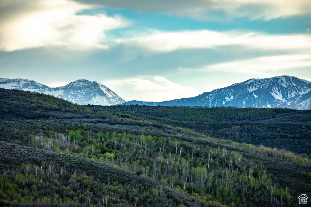 Mountain view featuring a forest