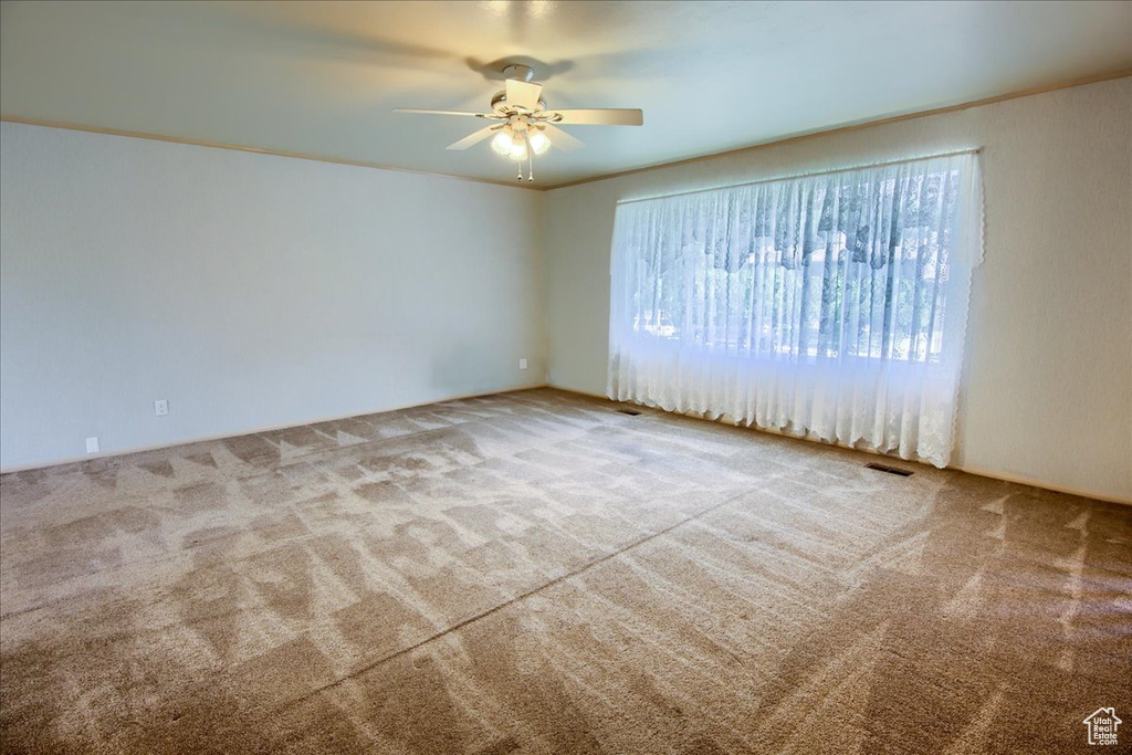 Carpeted spare room with plenty of natural light and a ceiling fan
