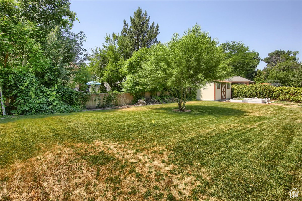 View of yard with a storage shed