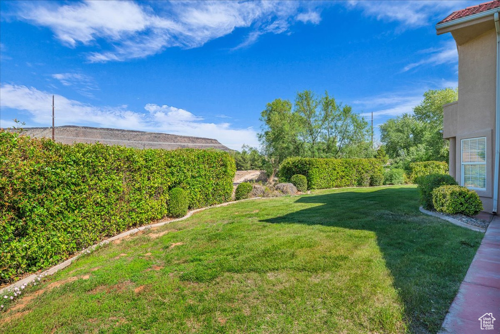 View of grassy yard