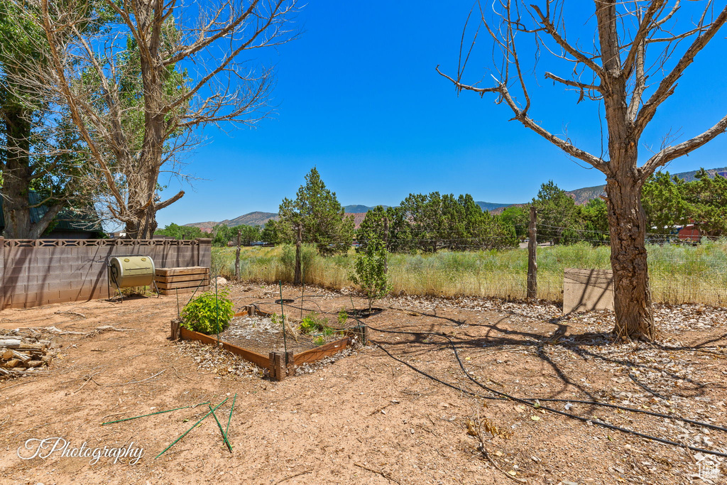 View of yard with a mountain view and a garden