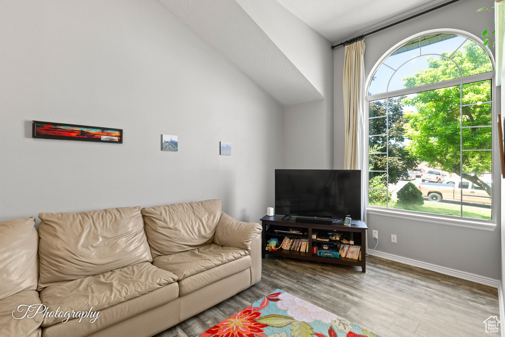 Living area featuring wood finished floors and vaulted ceiling