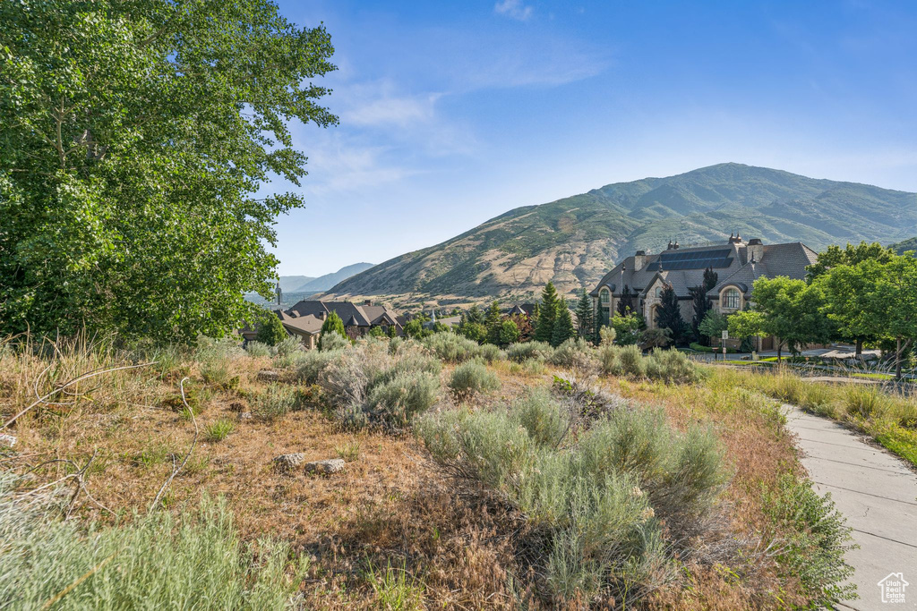 View of mountain backdrop