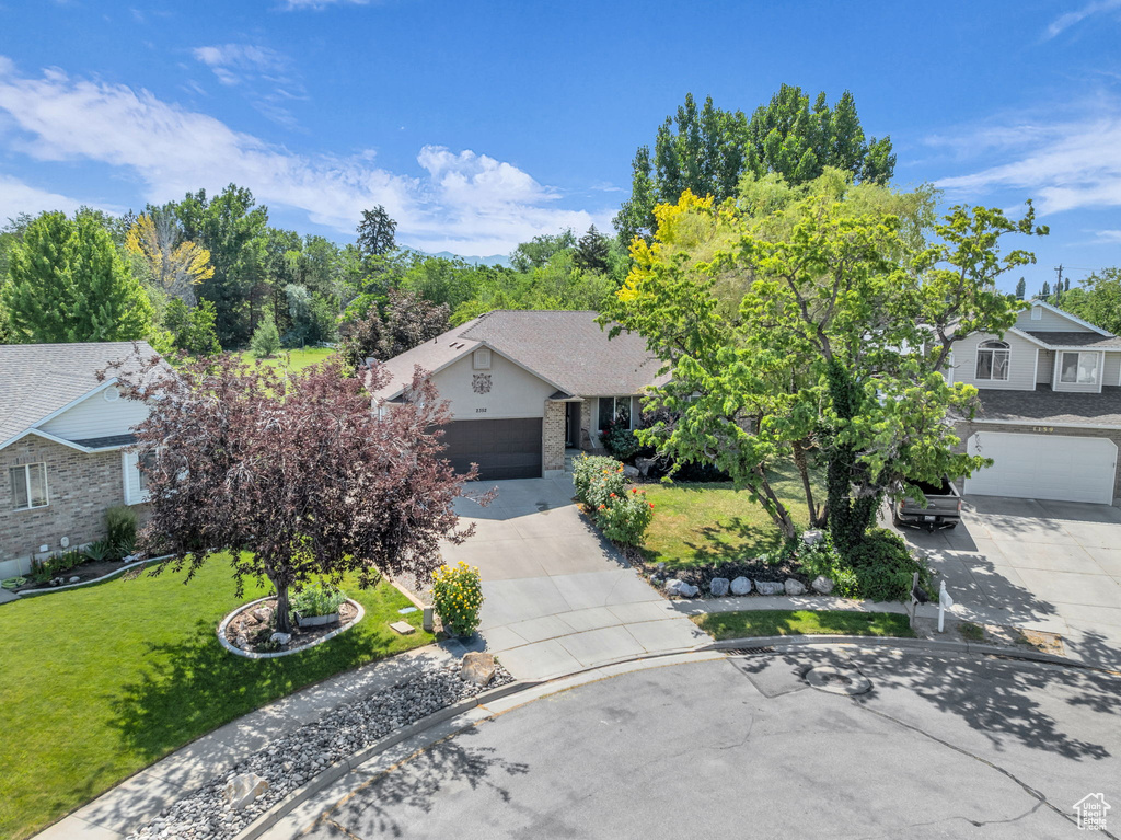 View of property hidden behind natural elements featuring concrete driveway, a front lawn, and a garage