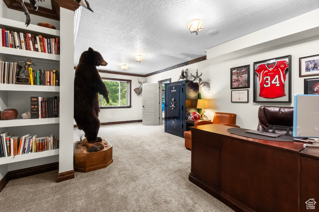 Carpeted office featuring a textured ceiling and ornamental molding