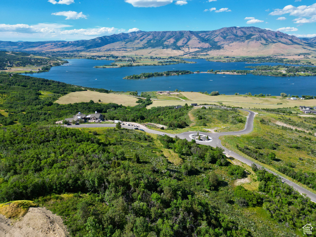 Aerial view of a water and mountain view