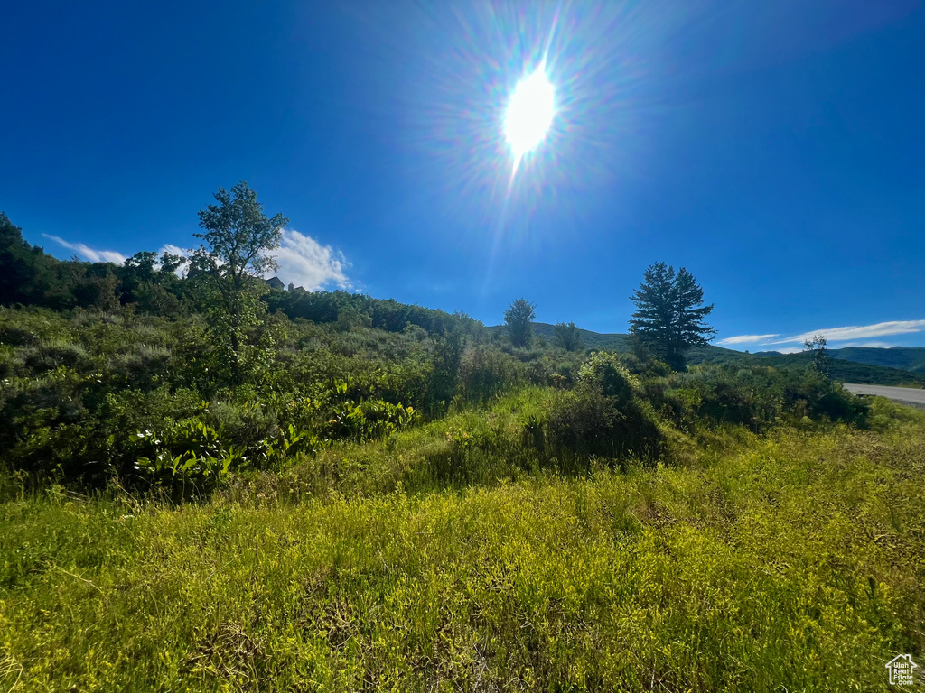 Mountain view