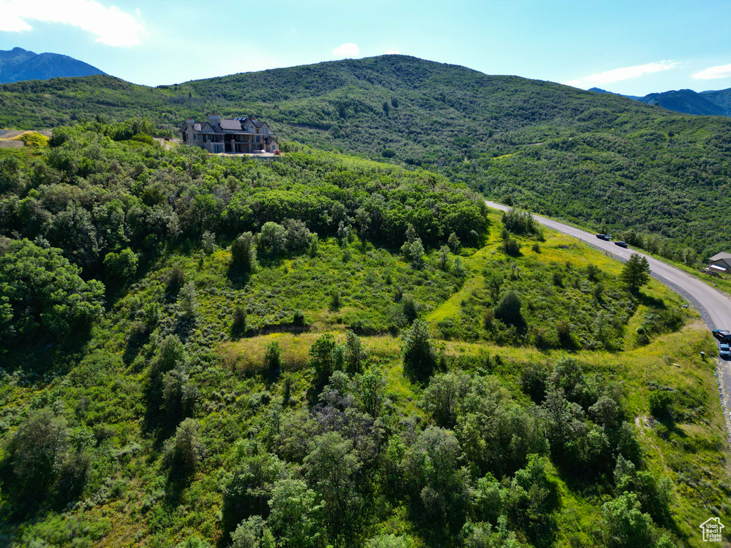 View of mountain backdrop with a heavily wooded area
