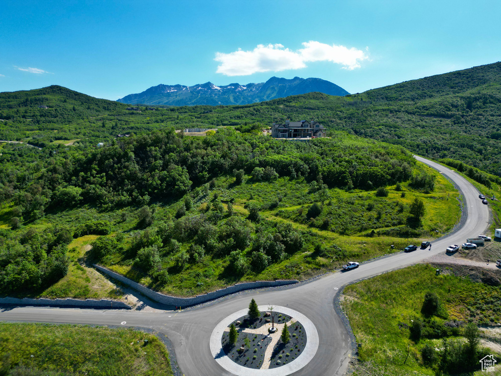 Aerial view of a forest and a mountain backdrop