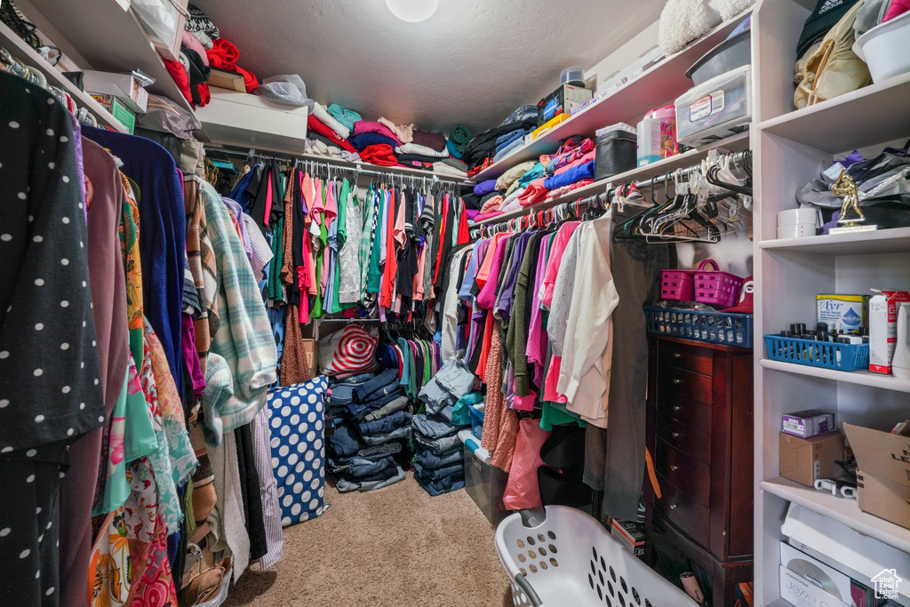 Walk in closet featuring carpet floors