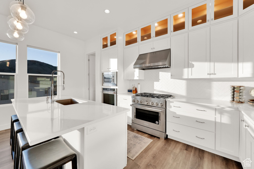 Kitchen with under cabinet range hood, stainless steel appliances, light wood-style floors, light countertops, and decorative backsplash