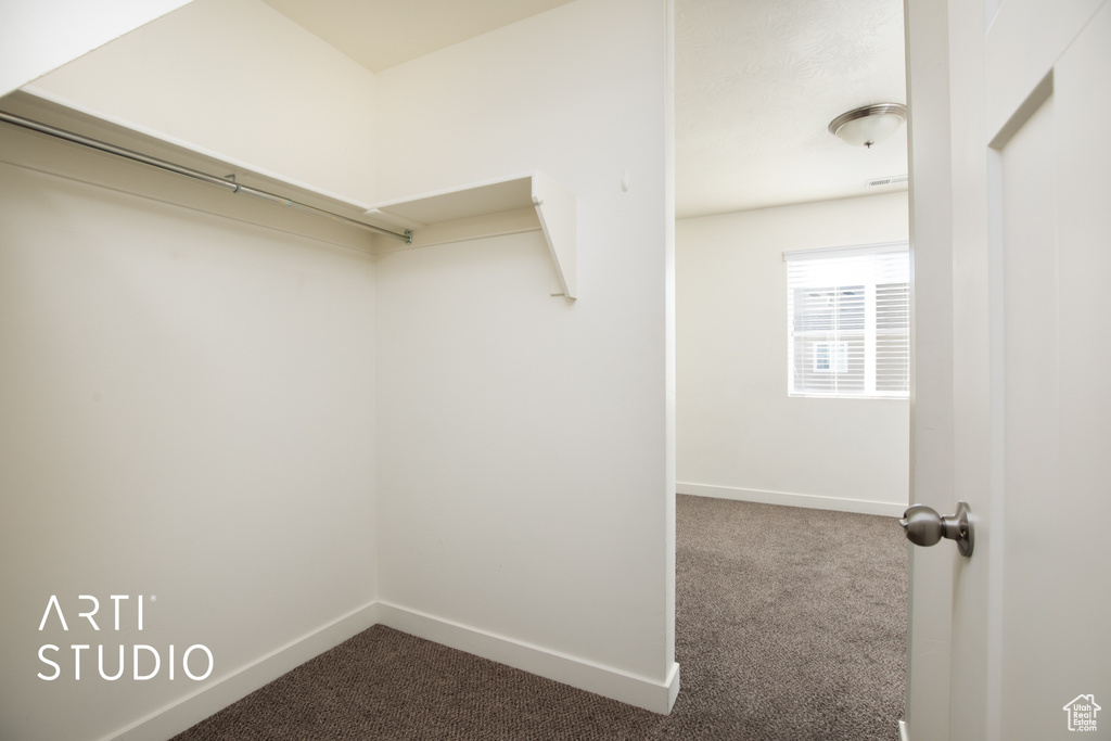 Spacious closet with dark colored carpet