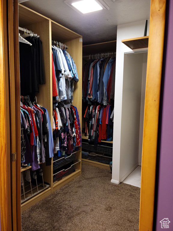 Spacious closet with carpet floors
