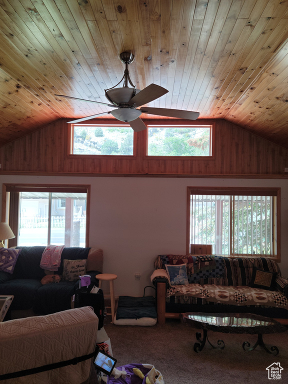 Carpeted living room featuring wood ceiling, a ceiling fan, wooden walls, and high vaulted ceiling