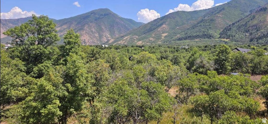 View of mountain backdrop with a heavily wooded area