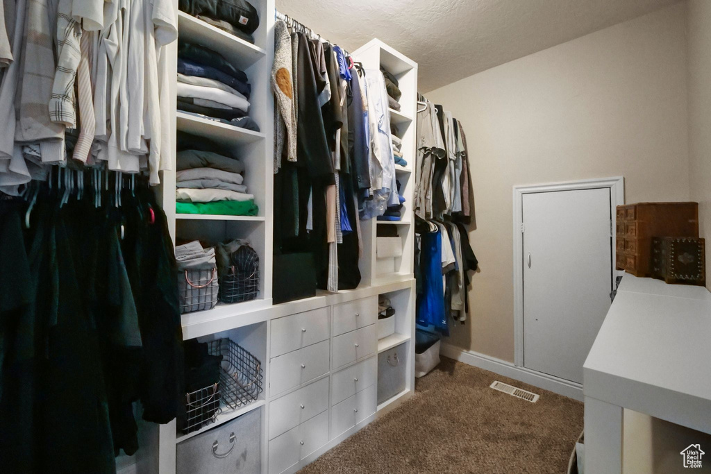 Walk in closet with carpet floors