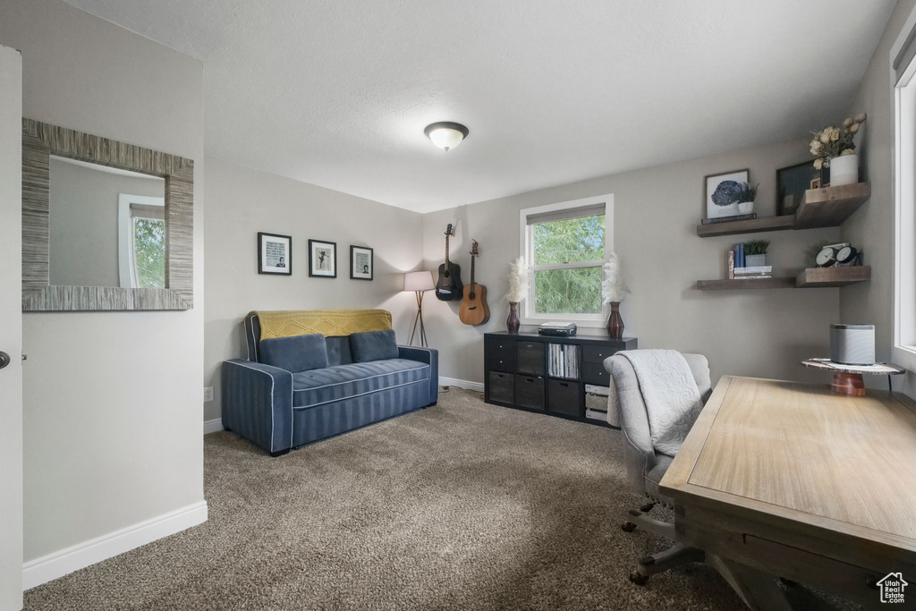 Office space with carpet and baseboards