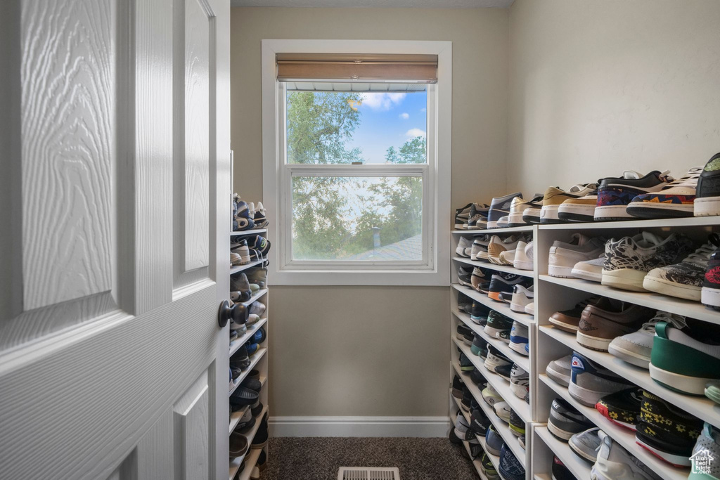 Spacious closet with carpet