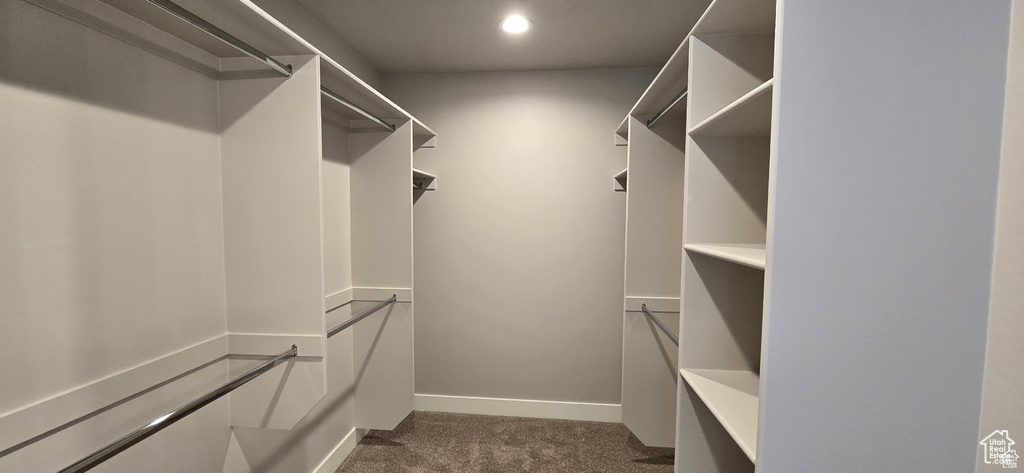 Walk in closet with dark carpet