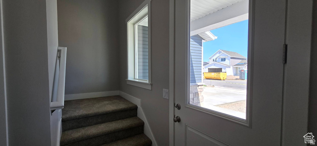 Doorway featuring plenty of natural light and carpet floors