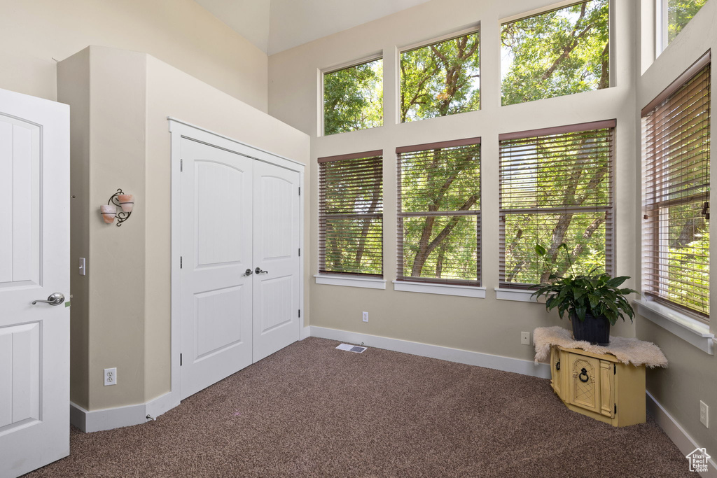 Unfurnished bedroom with carpet flooring, a closet, and a towering ceiling